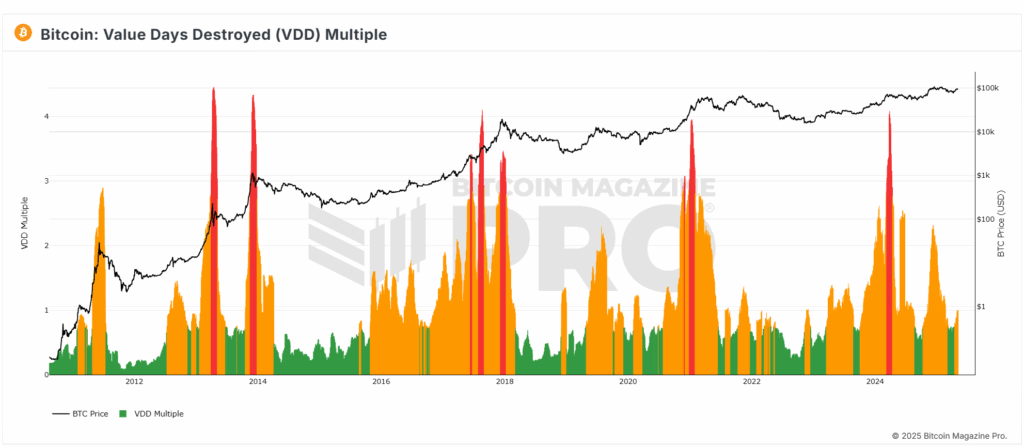 Pro Tips For Maximizing MSTR Returns Using Bitcoin Market Data 5