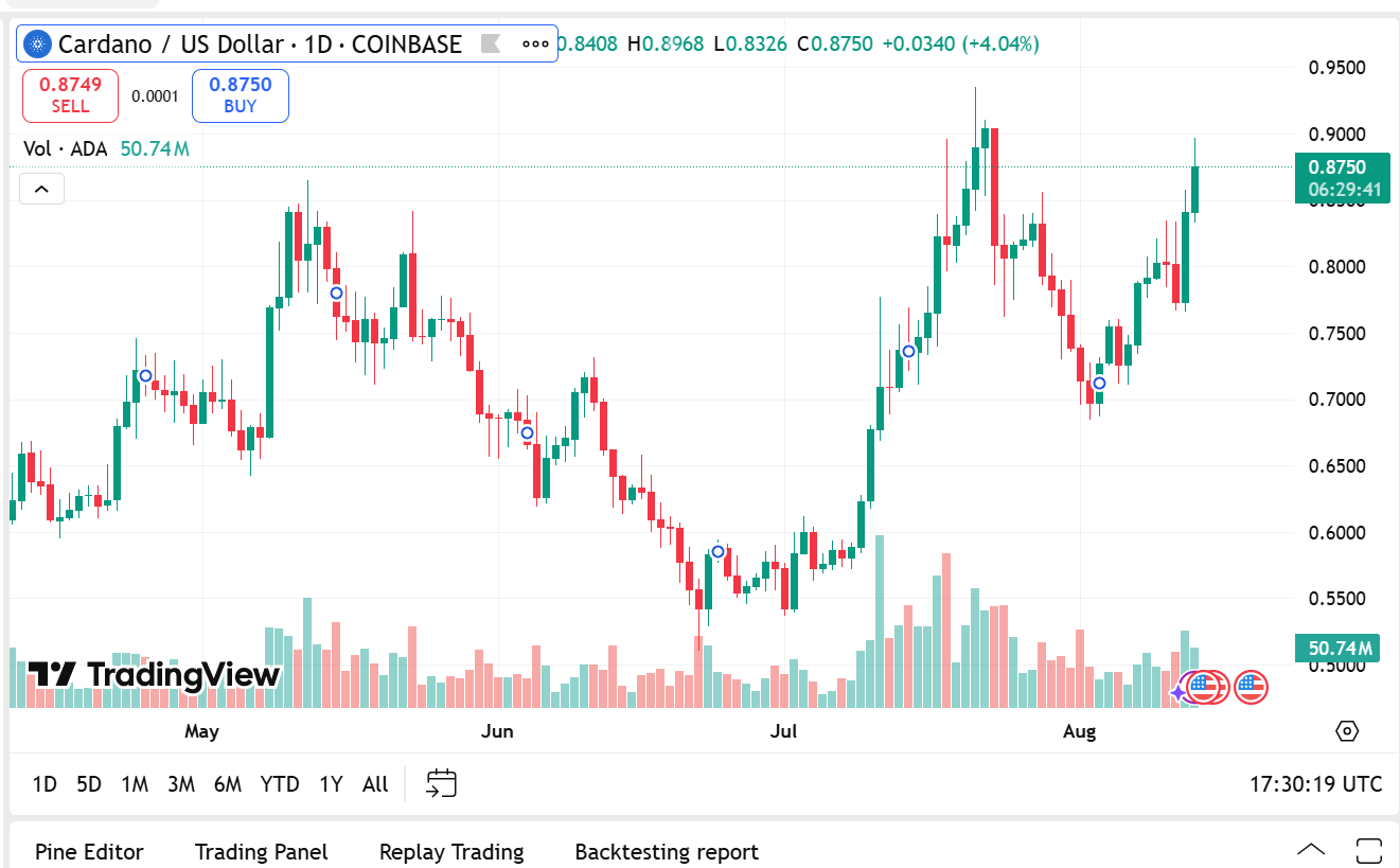 Los expertos dicen que la escritura está en la pared: Pengu superará a Pepe y Remittix se dirige a Cardano 5 AD 4NXC3DPDTK2 DVECUJSAUB5RLQL52BCPIYDOXGLT8ZHOQSL1LG5P PKCP