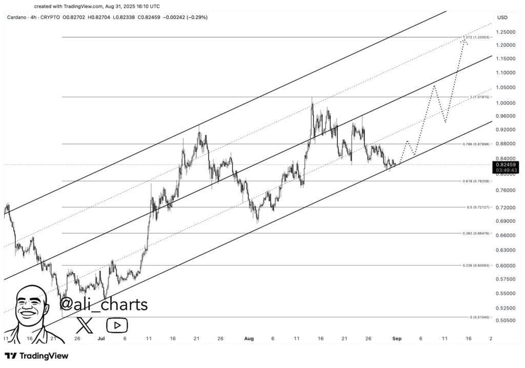 ¿La mejor criptografía para comprar ahora? Los analistas clasifican el remitte más alto que Cardano, Solana y XRP para 2025 Ganes 5 Remittix 3583 2