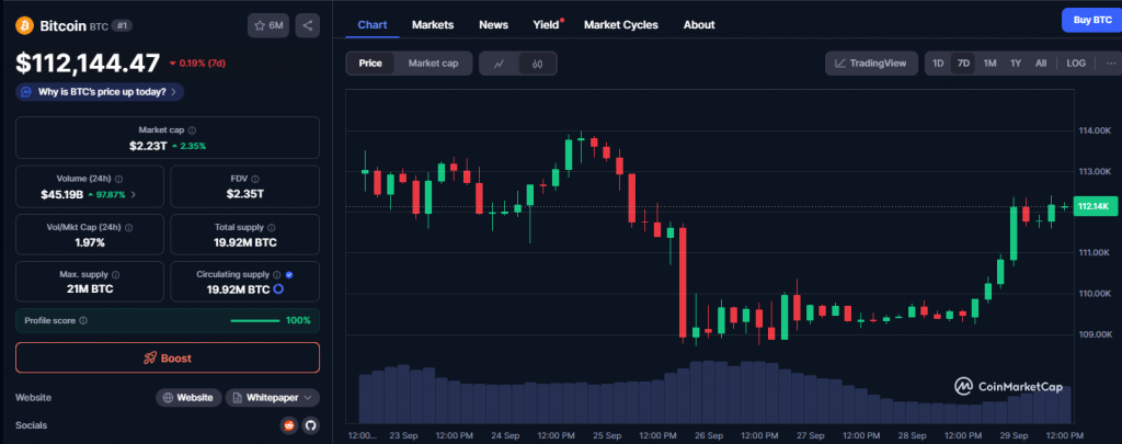 Gráfico de precios de bitcoin